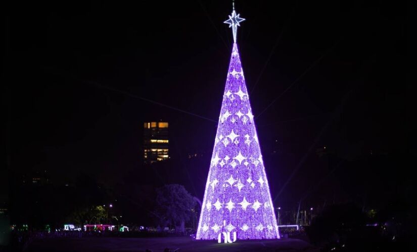 Árvore de Natal do Parque Ibirapuera é inaugurada no sábado (30)