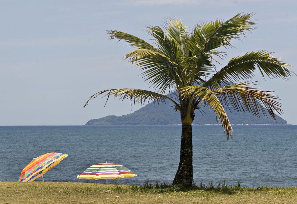 férias
