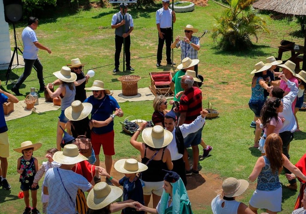 Tradição: São Roque celebra colheita da uva com festa