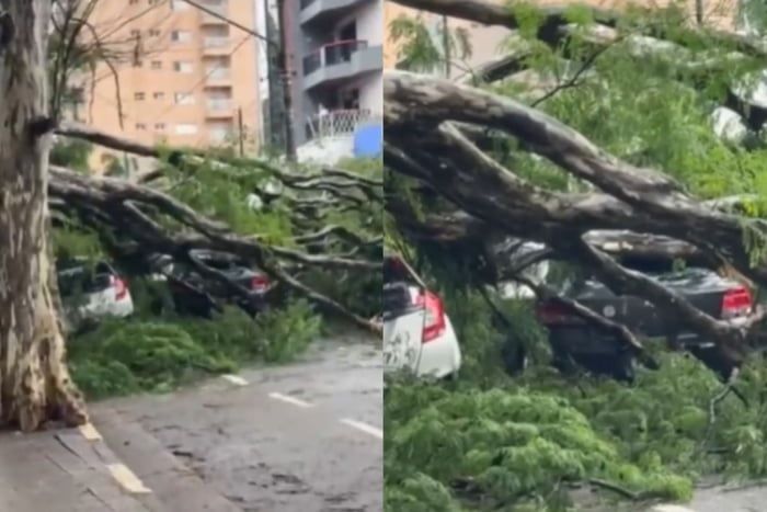 Osasco
