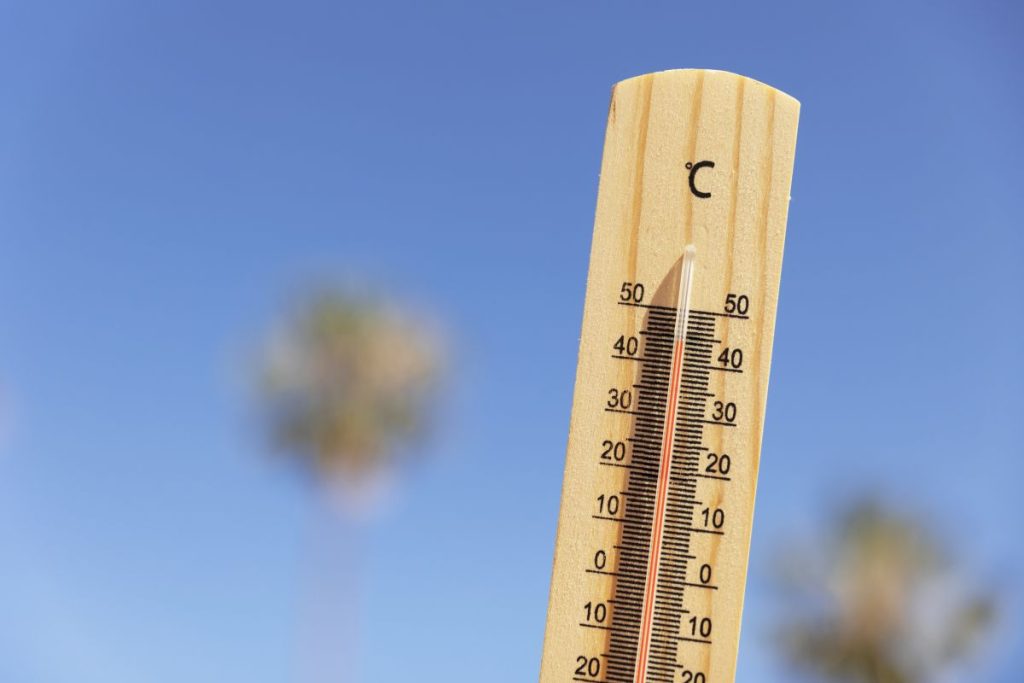 calor
