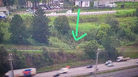 Corpo é encontrado às margens da rodovia Castello Branco