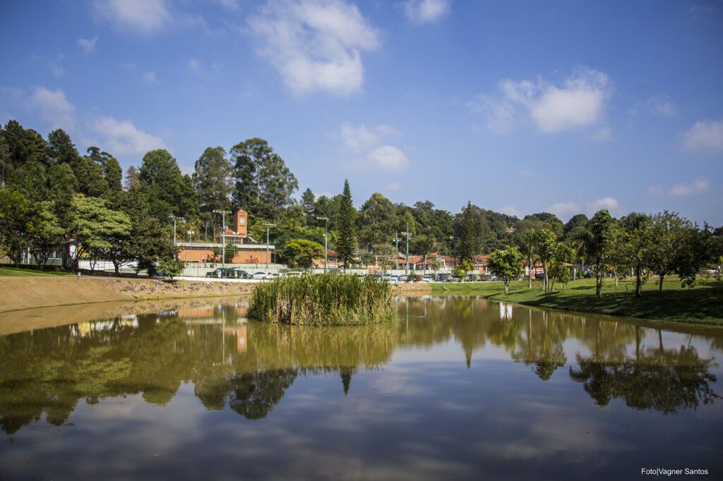cotia barueri