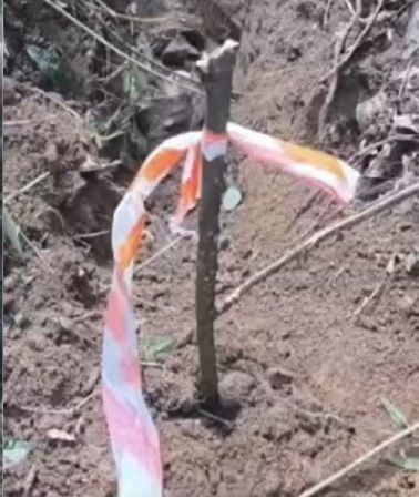 SP: GCM encontra 15 ossadas em cemitério clandestino