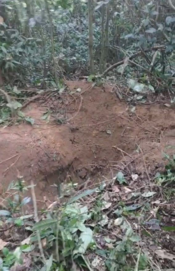 SP: GCM encontra 15 ossadas em cemitério clandestino