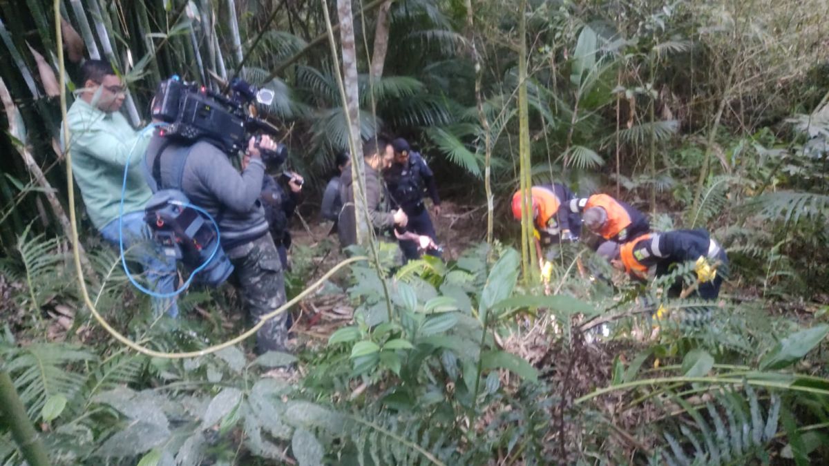 Cemitério clandestino é descoberto em área de mata pela GCM de Cotia
