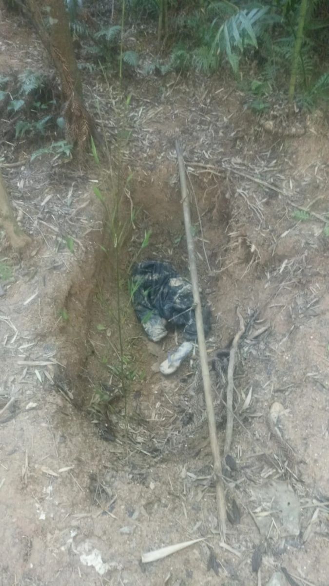 Cemitério clandestino é descoberto em área de mata pela GCM de Cotia