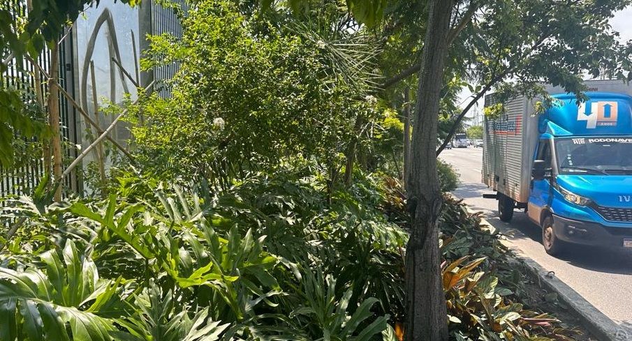 USP inicia demolição do muro de alvenaria da Raia Olímpica