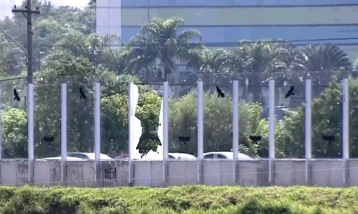 USP inicia demolição do muro de alvenaria da Raia Olímpica