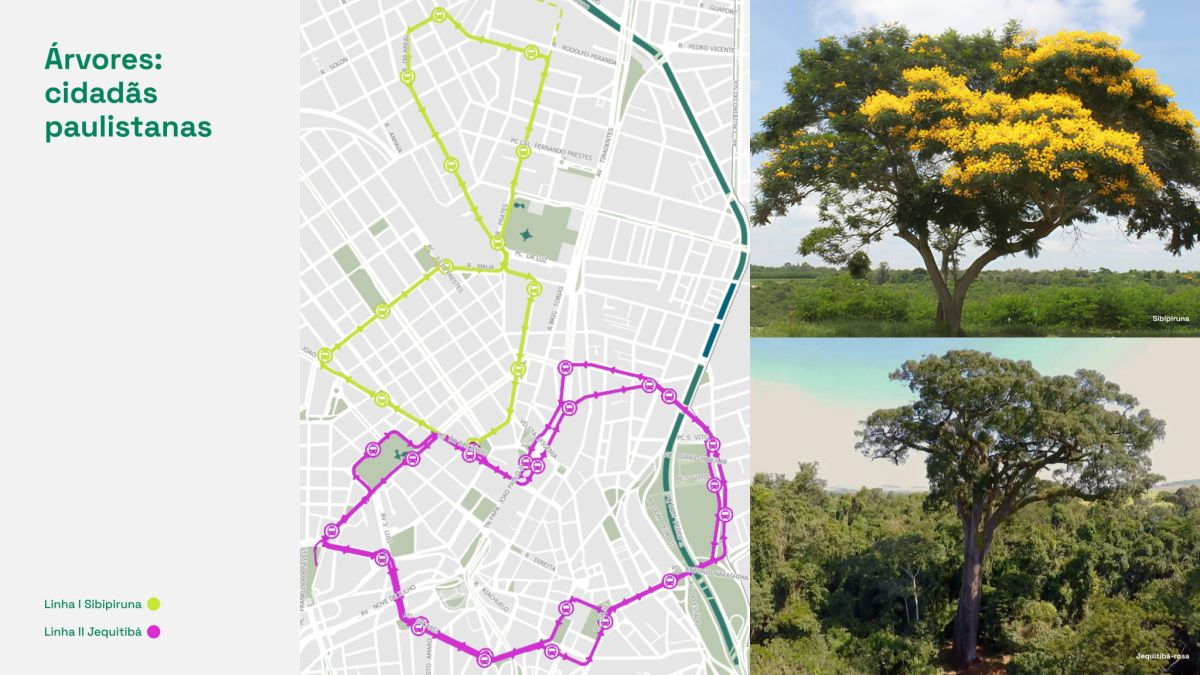 Bonde São Paulo: novo VLT terá 12 km e 27 estações no Centro