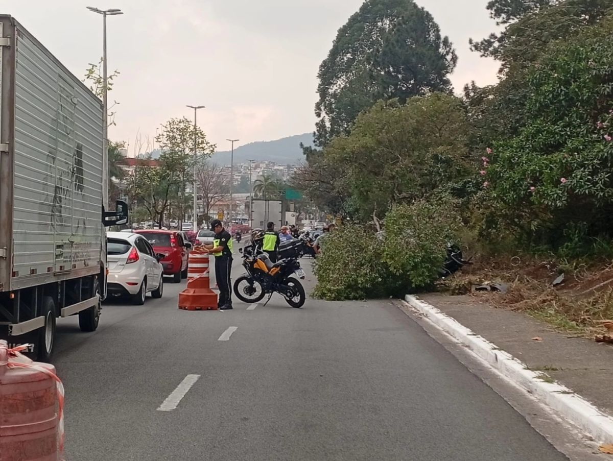 Barueri: carro atropela idoso, capota e colide contra árvore no Jardim Audir