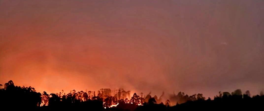 incêndio
