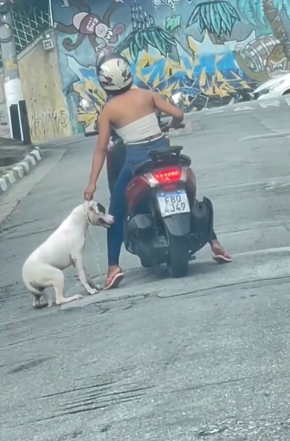 Osasco: mulher é indiciada após ser flagrada arrastando cão com moto