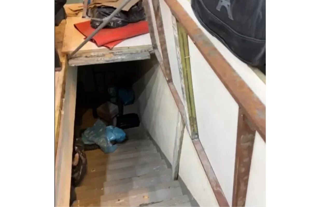 SP: Chinês é condenado por maus-tratos contra 26 cães