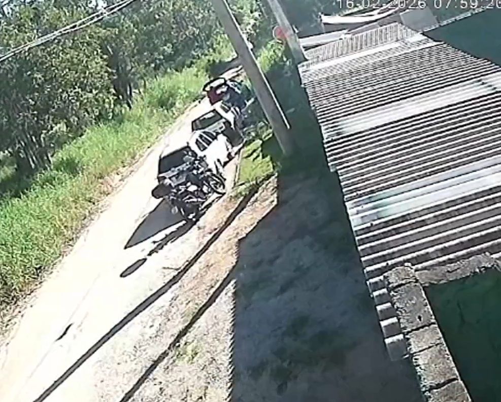 São Roque: homem é indiciado por abandonar filhote de chow-chow com paralisia