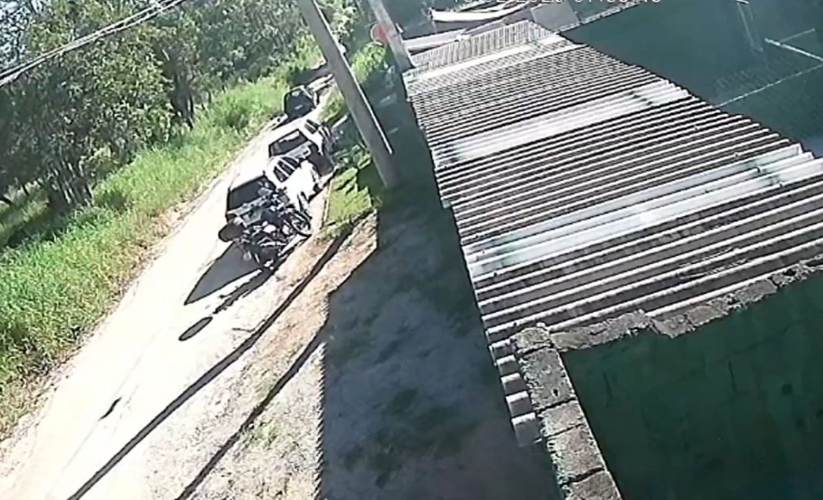 São Roque: homem é indiciado por abandonar filhote de chow-chow com paralisia
