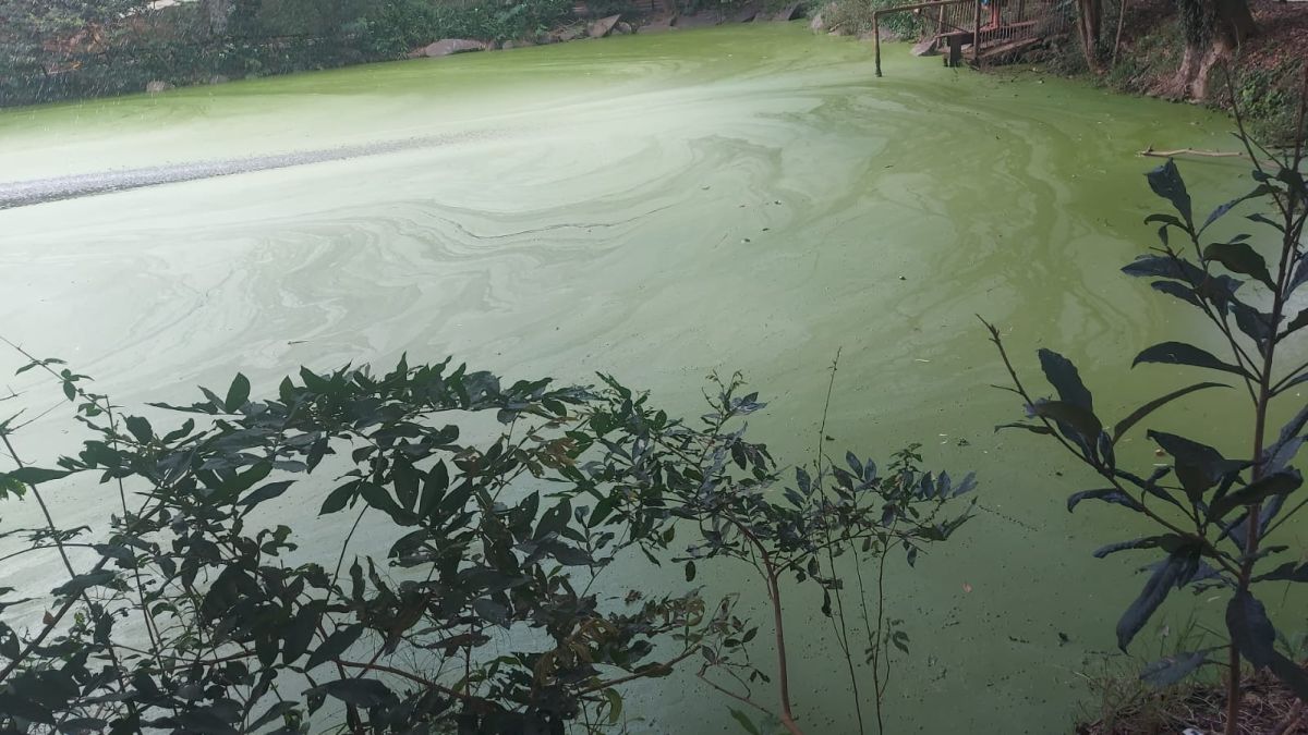 Osasco: vídeo mostra condições do lago em parque e moradores cobram manutenção