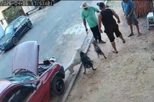 Notícias de Osasco, Barueri e Região Cioeste