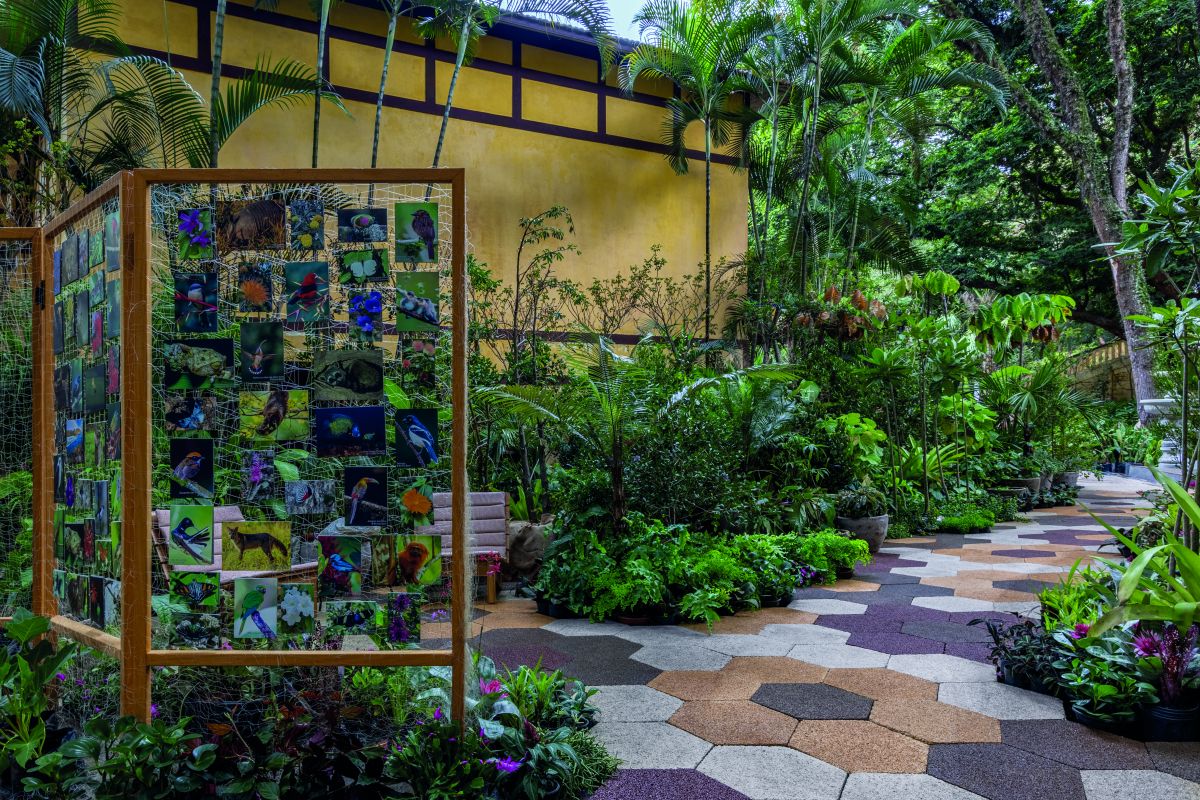 CASACOR São Paulo: "Mente e Coração" é o tema em 2026