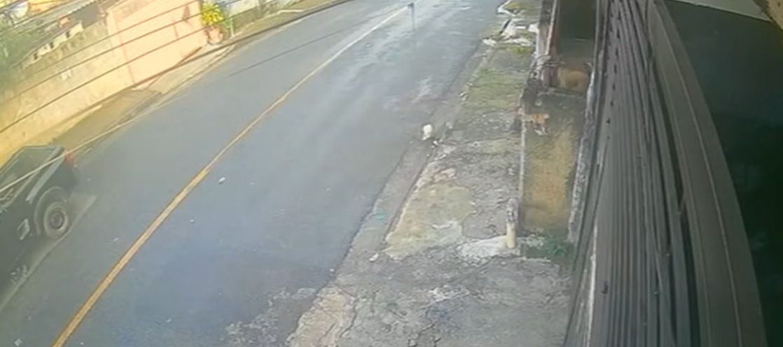 carapicuíba