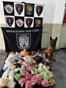 cão da PM