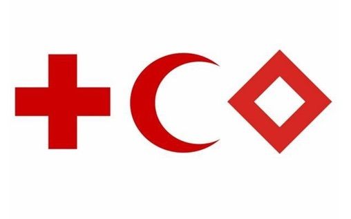 Câmara aprova PL de Bruna Furlan que regulamenta uso do símbolo da Cruz Vermelha