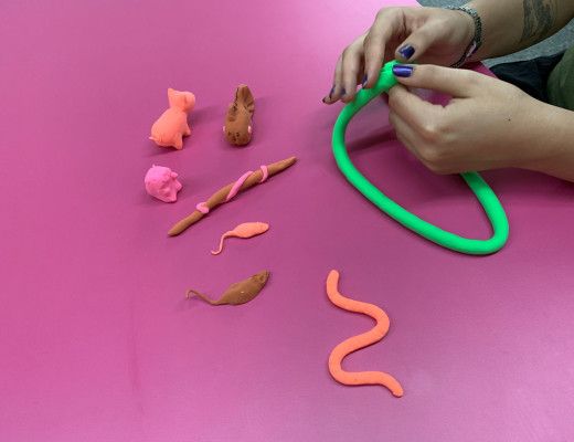 SP: Pinacoteca traz programação de férias voltada à infância