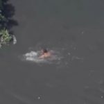 Homem foge da polícia e pula no Rio Tietê em Barueri