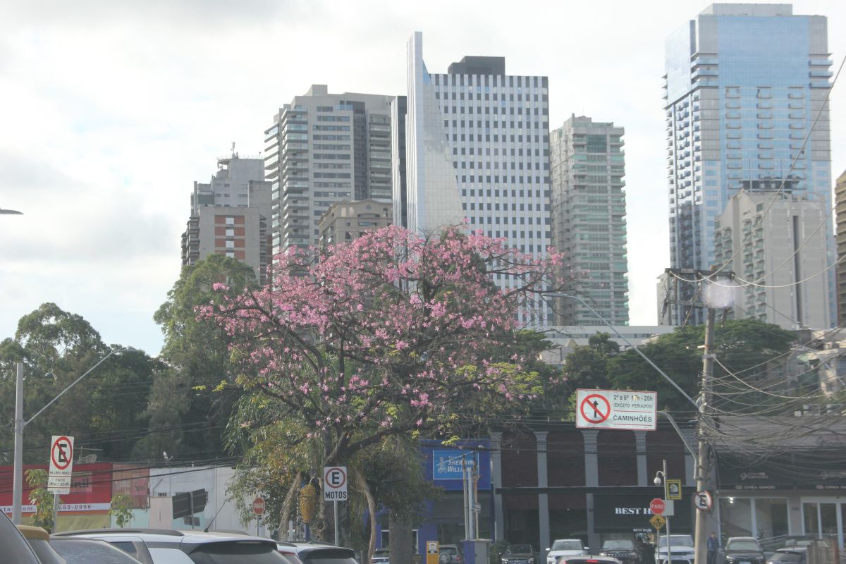 empresas alphaville secom barueri