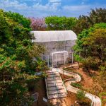 Borboletário de Osasco: conheça o espaço de educação ambiental e lazer