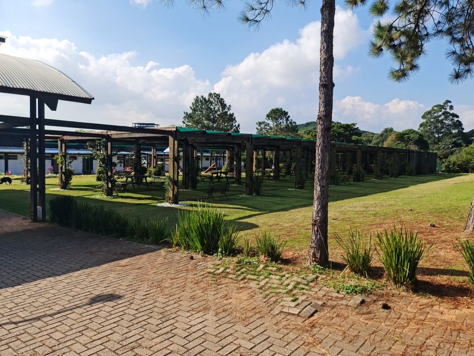 Parque Jequitibá
