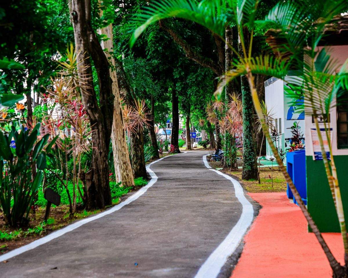 Borboletário de Osasco: conheça o espaço de educação ambiental e lazer