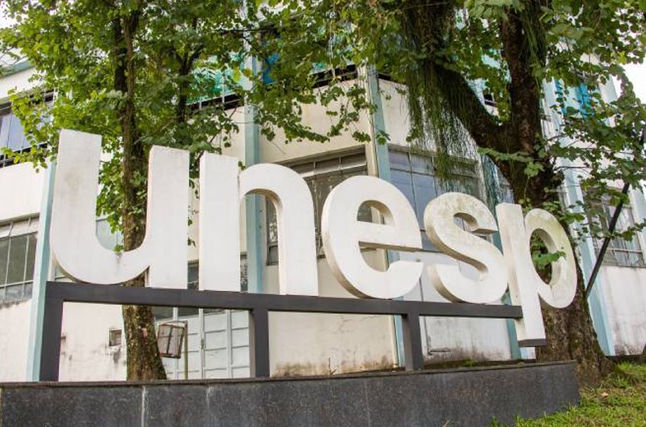vestibular unesp
