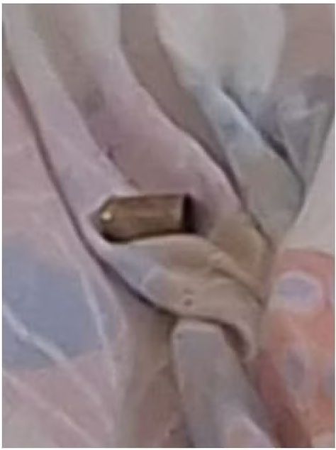 Cajamar: fotos mostram 2 armas de policial penal apreendidas após morte de professora