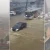 Notícias de Osasco, Barueri e Região Cioeste